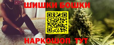 прущие грибы Нальчик