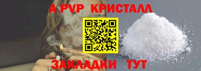 прущие грибы Нальчик